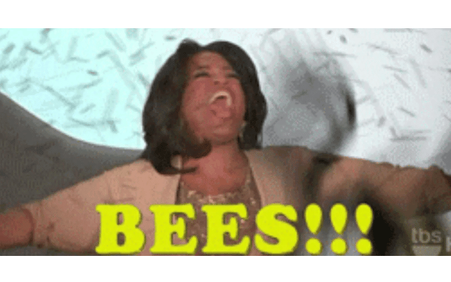 Bees Bees Bees