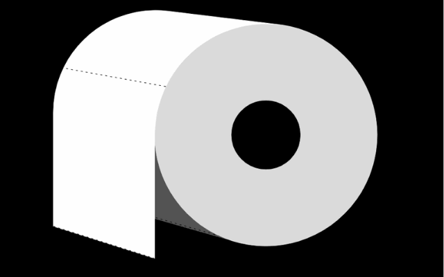 Paper Toilet